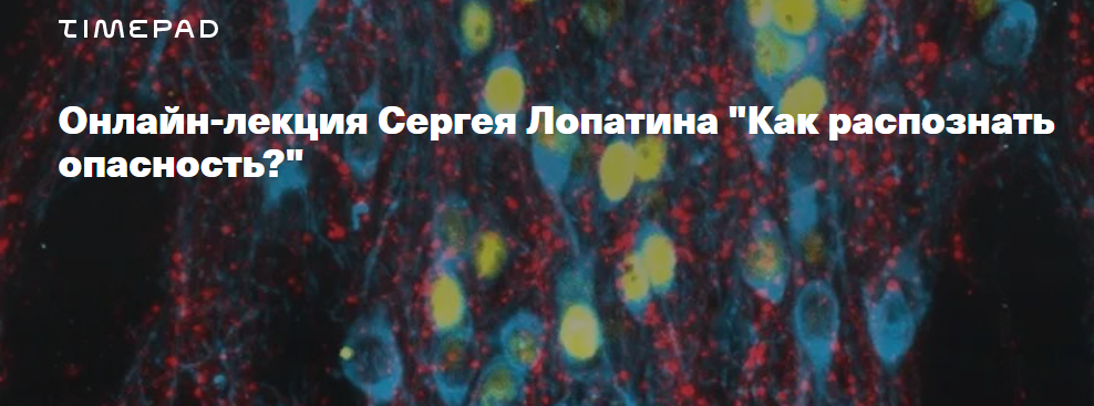 [Timepad] Сергей Лопатин ― Биология стресса. Лекци_0.png